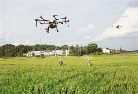 江苏海安：植保无人机助力稻田管理-人民图片网