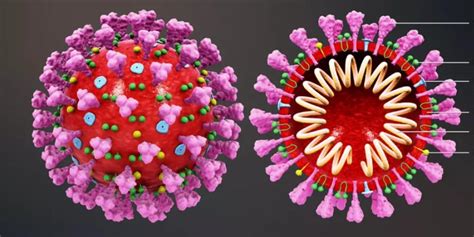 英国最新研究：新冠免疫可能只持续一个月 疫苗要每年注射两次_凤凰网