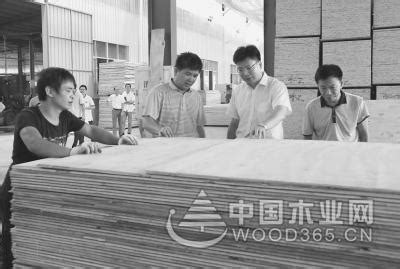 莆田秀屿国家级木材贸易加工示范区转型升级-木业网
