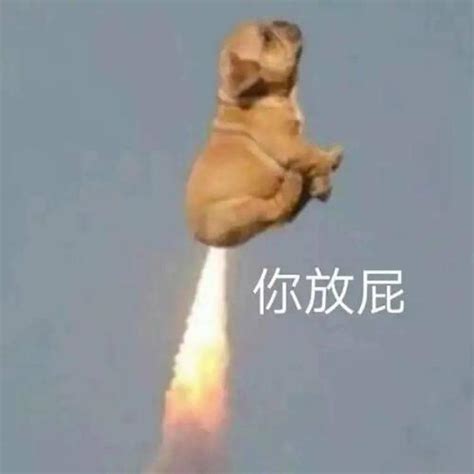 萌死人的表情包图片