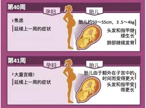胎芽大小与孕周对照表，孕妈们可以对比一下是否正常|胎儿|胎囊|受精卵_新浪新闻