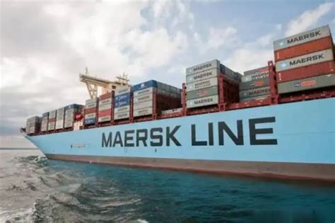 全球十大集装箱船公司，第一是马士基，太平船务垫底_排行榜123网