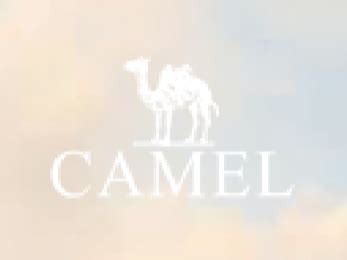 中国有几个骆驼品牌，国内目前最好的骆驼奶粉品牌 - 鲜淘网