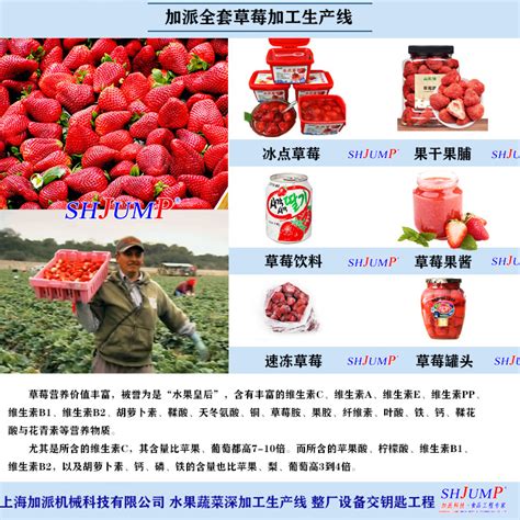 草莓设计图__海报设计_广告设计_设计图库_昵图网nipic.com