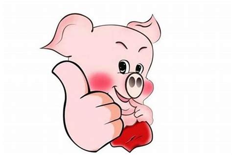1983年属猪的是什么命 几月出生最好 - 魔灵星座