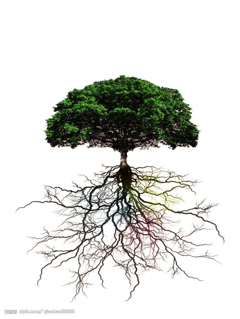 如何理解：根是地下的枝，枝是空中的根？ - 知乎