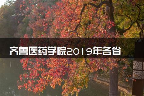 权威资讯 | 齐鲁医药学院2019年单独招生章程发布--中国教育在线