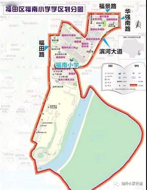 2020年深圳小学排名一览