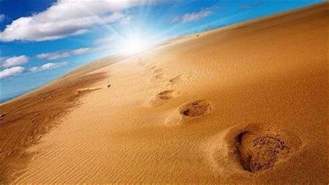 中国四大沙漠排名：第一是世界最大沙漠之一，腾格里沙漠排行第四 - 十大排行 - 酷奇猫