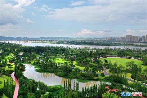 【生态文明@湿地】“海绵城市”遂宁:城市湿地串起26公里绿丝带