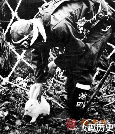 老照片：二战日本“神风”特工队最后的疯狂！-搜狐大视野-搜狐新闻