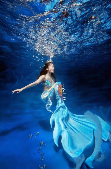 芭比彩虹仙子之梦幻仙境：人鱼王子救了爱丽娜！_腾讯视频