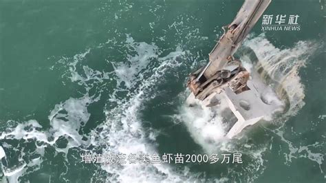 河北昌黎：建设海洋牧场 修复海洋生态_凤凰网视频_凤凰网