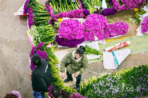 超大规模花卉市场落户上海这里！原曹家渡花市都搬来了！