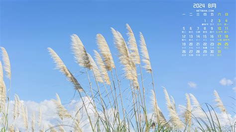 月历壁纸/2024年10月～12月部分cr.@verw图片