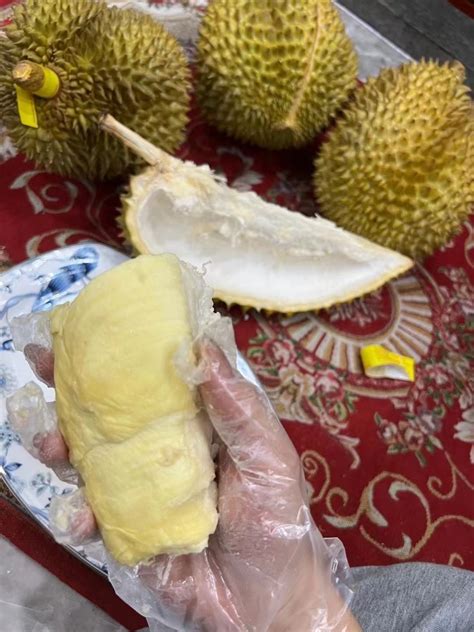 多品种榴莲亮相上海泰国节 开摆美味盛宴 | 国际果蔬报道