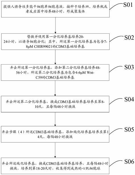 商务数据分析与应用以后能干什么