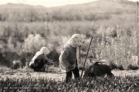 农村老人种田,劳动生产,农林渔牧,摄影素材,汇图网www.huitu.com