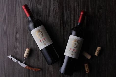 酒知识：智利葡萄酒怎么样，果味丰富简单易饮性价比超级高_红酒网