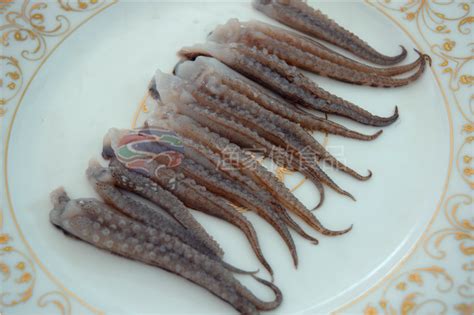 二本足 - 鱿鱼串|鱼串|海鲜鱼串|调理食品|海鲜调理品|烟台渔家傲食品有限公司
