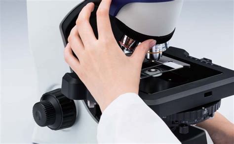 奥林巴斯显微镜CKX53OLYMPUS奥林巴斯显微镜CKX53 【品牌|参数|图片|报价】现货总代理价格,详情介绍-960化工网