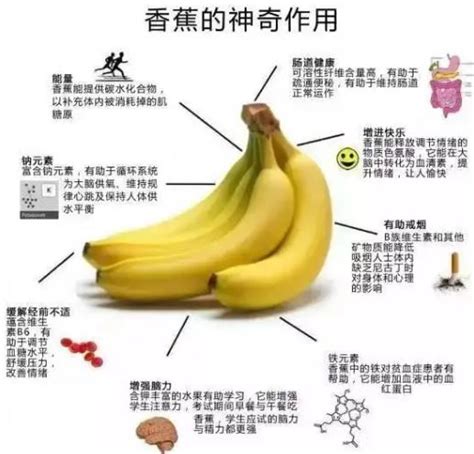 香蕉是凉性还是热性-香蕉的功效与作用和副作用禁忌