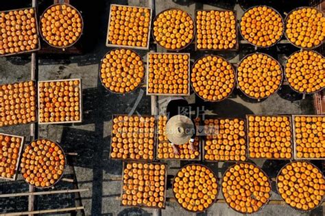 广西恭城：柿子深加工助村民脱贫-人民图片网