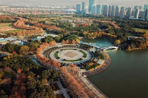 上海世纪公园交通信息及游玩路线_旅泊网