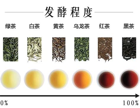 茶叶品种大全及图片，茶名称大全
