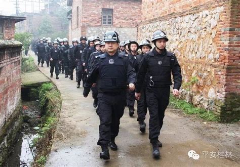 桂林警方治乱出重拳成功打掉一农村犯罪团伙,桂视网,桂林视频新闻门户网站