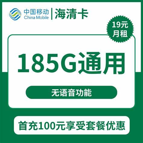 29元套餐1600分钟110g 流量