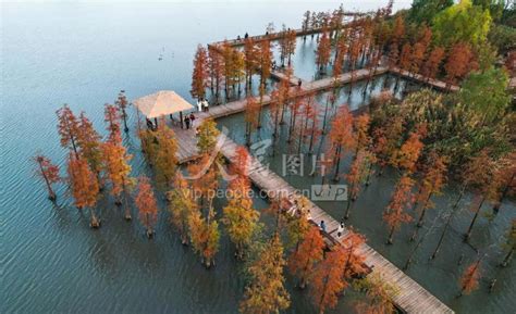 2022铜陵西湖城市湿地公园旅游攻略 - 门票 - 景点介绍_旅泊网