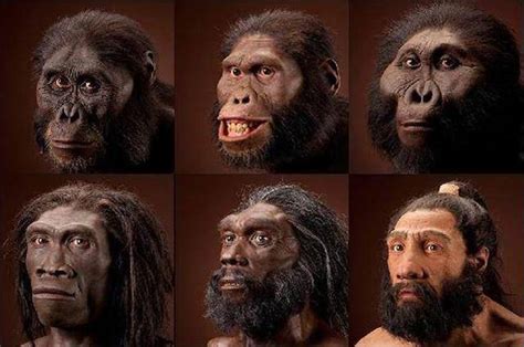 人和大猩猩的DNA相似度有多高, 你想一下?