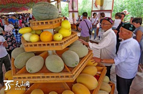 中国新疆·哈密“甜蜜之旅”第十六届哈密瓜节开幕_阿克苏新闻网