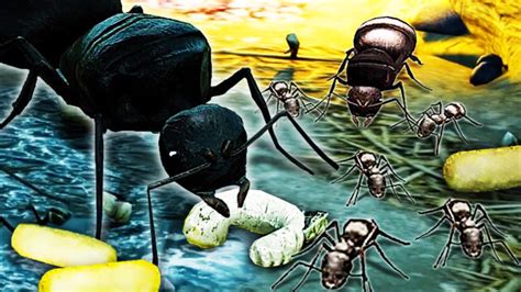 模拟地下蚁国手机版(蚂蚁地下王国)图片预览_绿色资源网