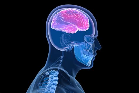 [EAN2016]欧洲神经病学大会一览——神经影像的威力_EAN2016_神经影像学_递质成像_蛋白PET成像_铁沉积_fMRI_医脉通