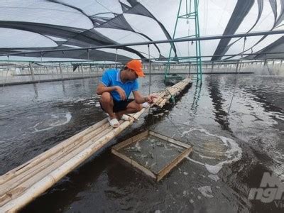 Nam Định tăng nuôi trồng, giảm khai thác thủy sản
