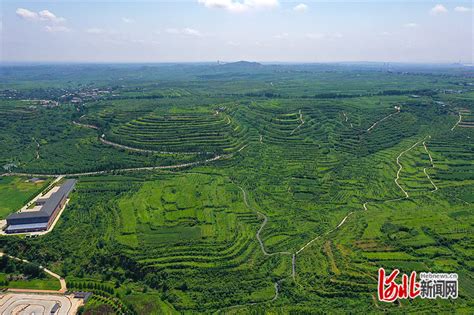 河北沙河：农旅融合田园美凤凰网河北_凤凰网