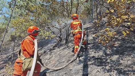 C视频丨送水龙上火山记者现场直击雅江森林火情1号火场灭火救援_四川在线