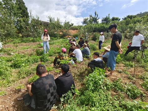 精准施治 助农增收 普威镇邀请专家团队为雪桃和苹果种植农户开展技术培训