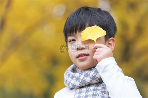 秋季银杏树下小男孩金色童年高清图片下载-正版图片501703324-摄图网