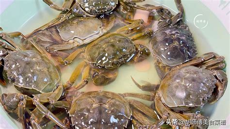螃蟹怎么保存在冰箱多久可以吃 - 生活常识 - 懂了笔记