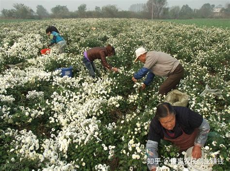 什么是无产阶级？谁是无产阶级的代表-百度经验