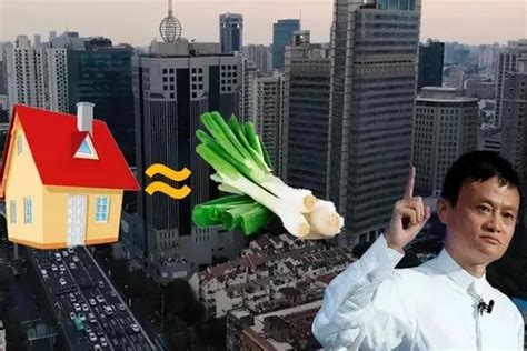 马云说不要买房 未来房价如葱或许是真的_综合_南房网·南充房产网