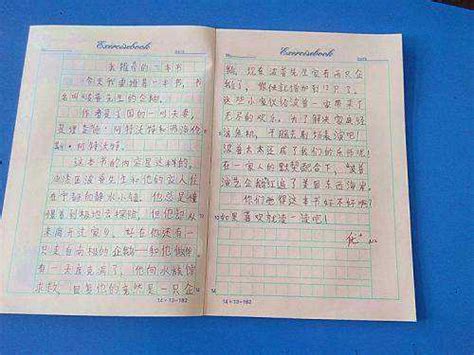 小学日记格式 日记写法内容范文-伯途在线一对一学业规划辅导