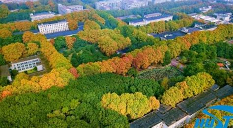 华中科技大学：被誉为“森林大学”,为祖国培养了一棵棵” 参天大树”！ —中国教育在线