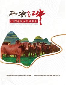 平凉红牛产业链重点招商项目册-FLBOOK