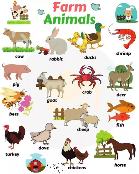 【各种动物图片及名称】所有动物的名字和图片_第二人生