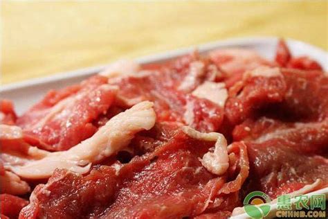 今日羊肉价格多少钱一斤？9月份全国最新羊肉价格行情分析 - 惠农网触屏版