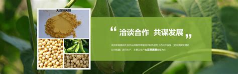 我国开展大豆完全成本保险和种植收入保险试点 - 农业 - 中国产业经济信息网